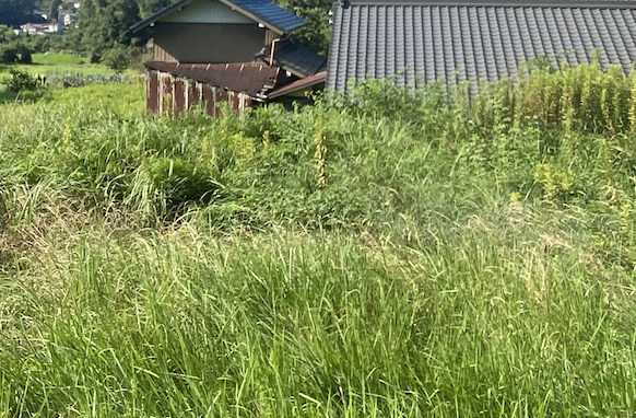 1/25 熊野・桜佐の区画整理地の中の土地の相談